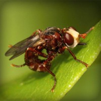 /album/skating-fly-andora/photolia-a06-jpg/